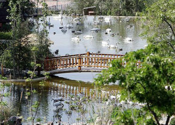 birds_garden_tehran_