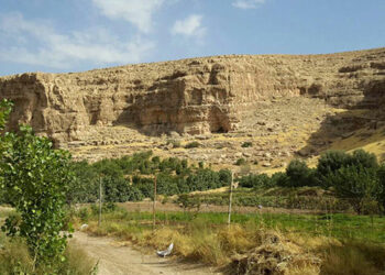 abouNassr_shiraz