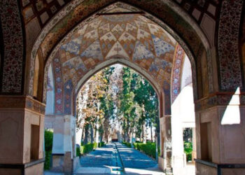 Fin_kashan-Iran