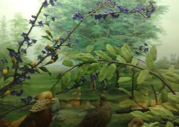 musem_history-animals-hamedan