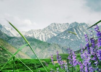 Oshtorankuh-lorestan