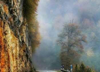 Ramsar-Forest