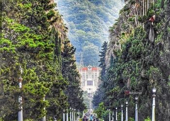 Ramsar_Walkway-moalem