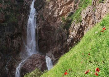 noujian_waterfall_lorestan