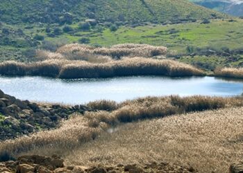 talab-poldokhtar-lorestan